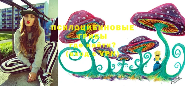молекула духа Алексеевка