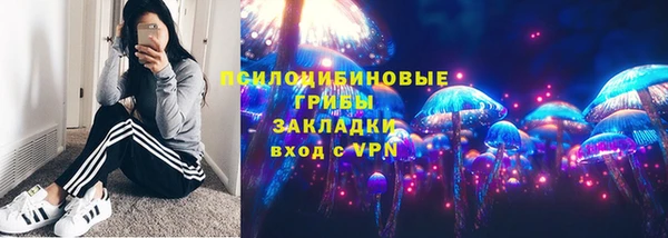 молекула духа Алексеевка